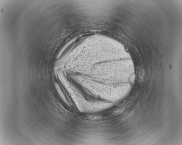 X0000061730760200512302145