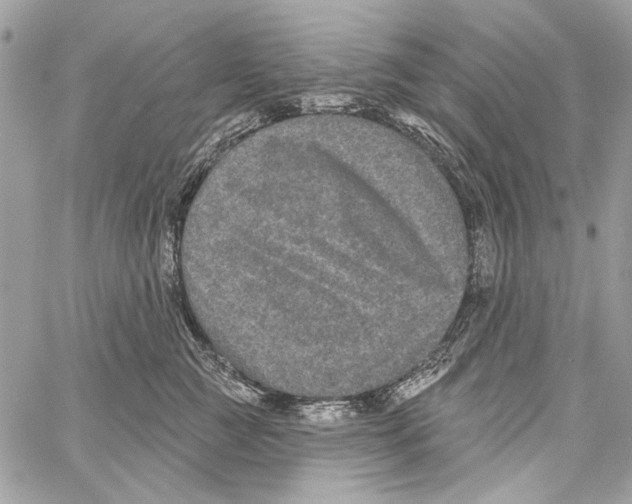 X0000061730761200512302145