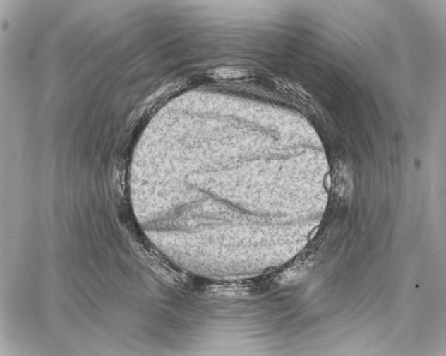 X0000061730763200512302145