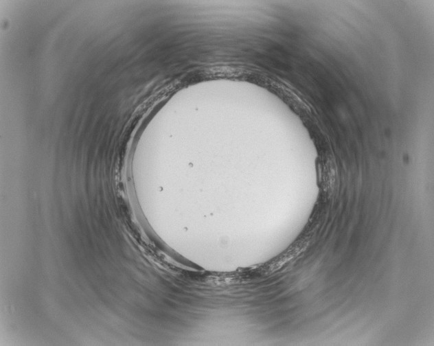 X0000061730764200512302145