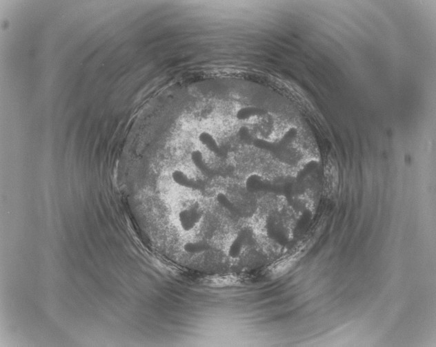 X0000061730765200512302145