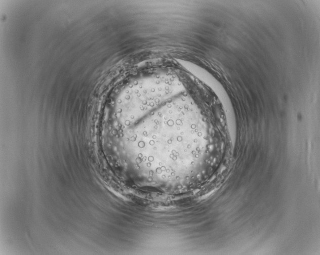 X0000061730766200512302145