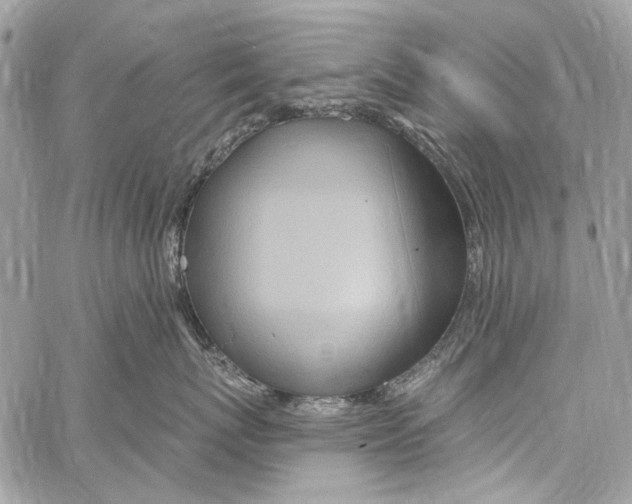 X0000061730767200512302145