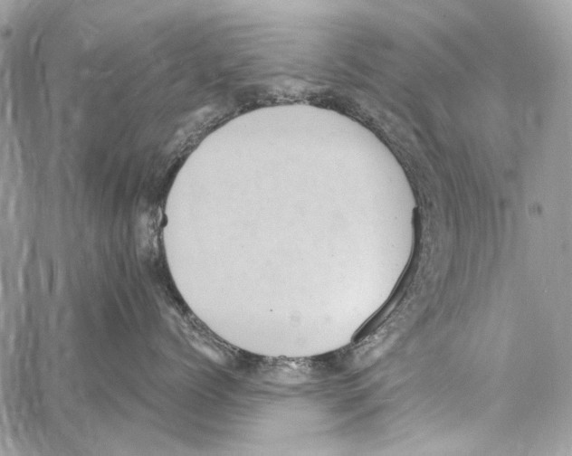 X0000061730768200512302145