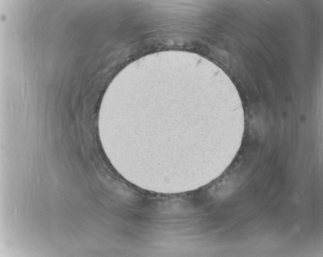 X0000061730769200512302145