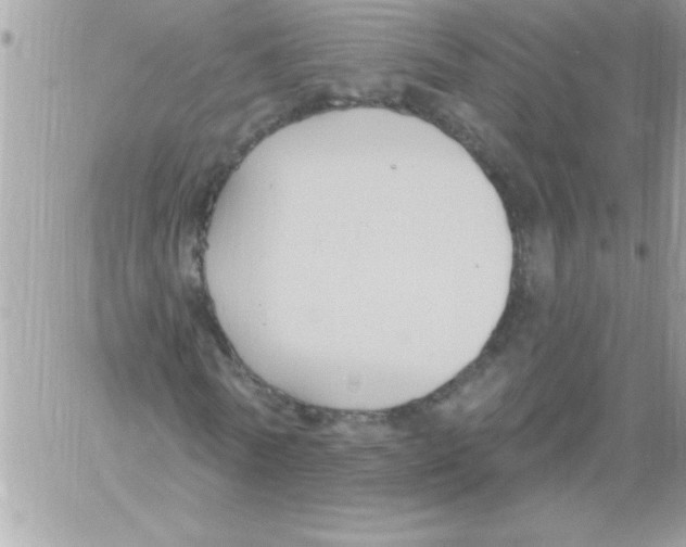 X0000061730770200512302145