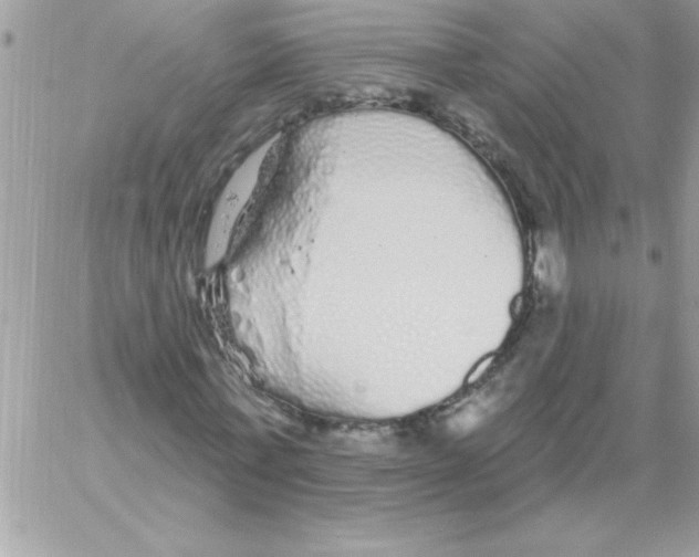 X0000061730771200512302145