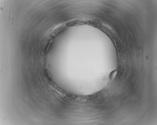 X0000061730773200512302145