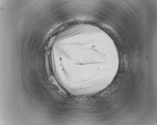 X0000061730776200512302145