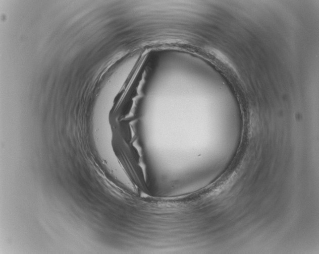 X0000061730777200512302145