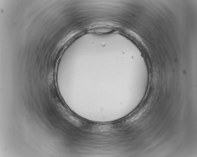 X0000061730778200512302145