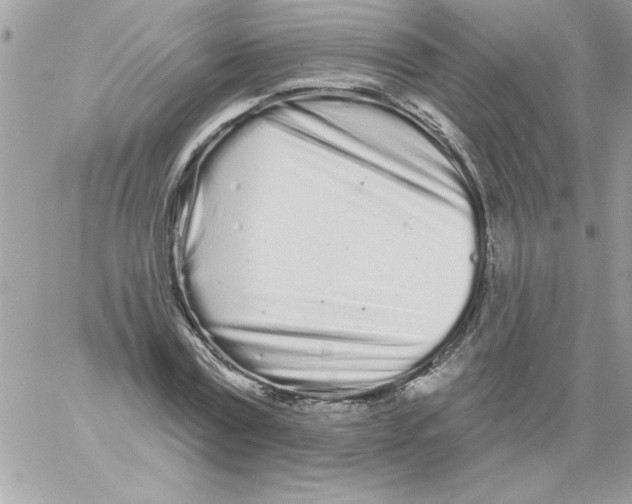 X0000061730779200512302144