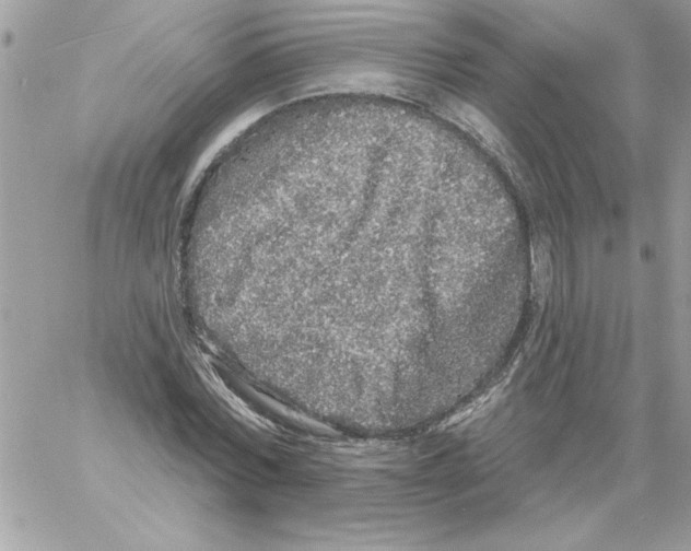 X0000061730780200512302144