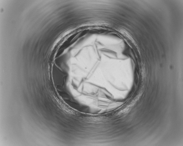 X0000061730781200512302144