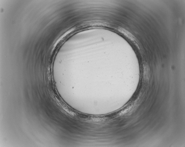 X0000061730782200512302144