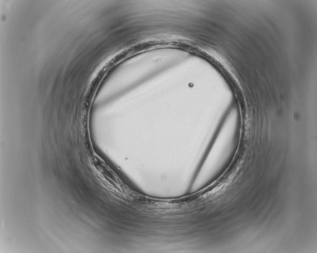 X0000061730783200512302144