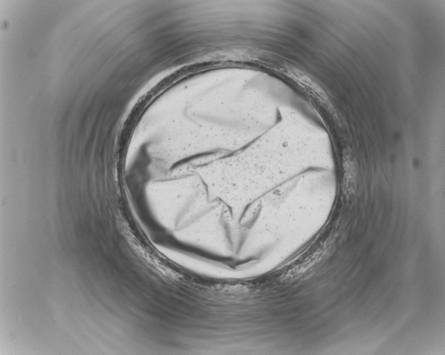 X0000061730784200512302144