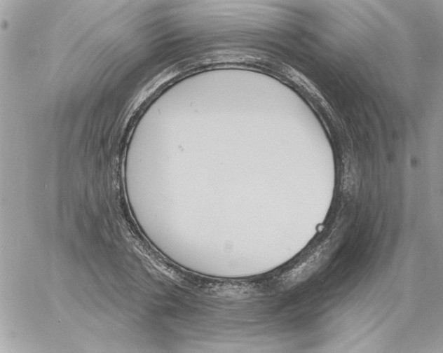 X0000061730786200512302144