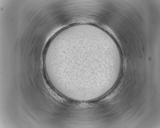 X0000061730787200512302144