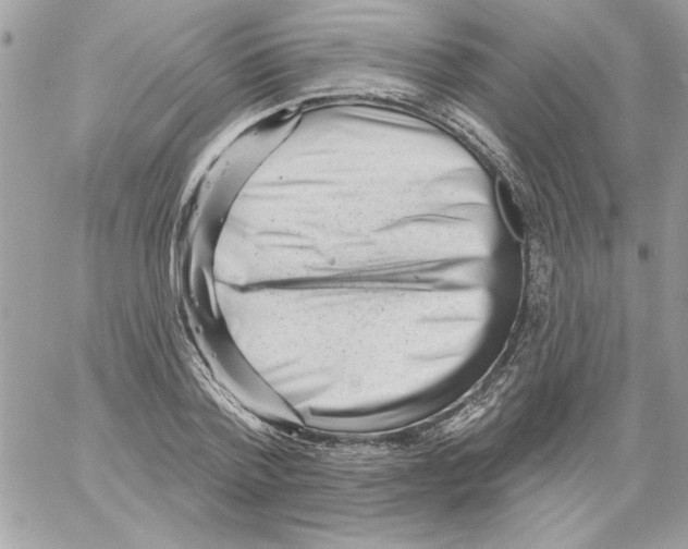 X0000061730788200512302144