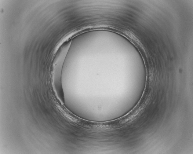 X0000061730789200512302144