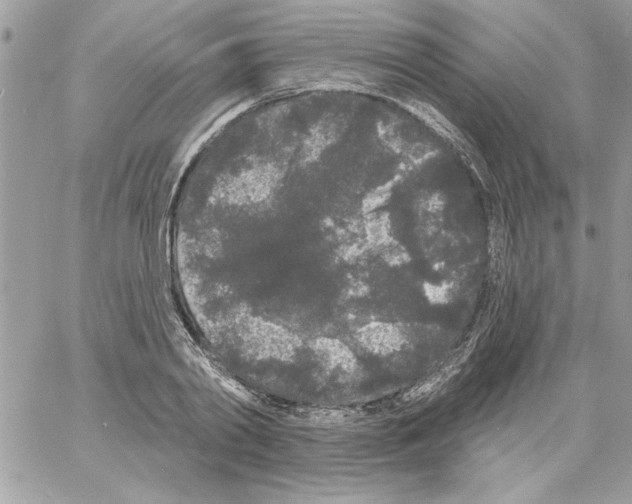 X0000061730790200512302144