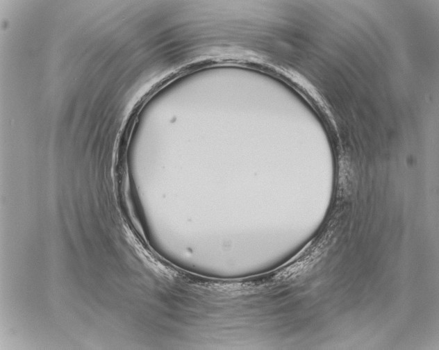 X0000061730791200512302144