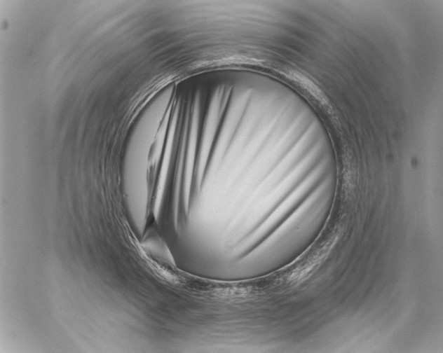 X0000061730793200512302144