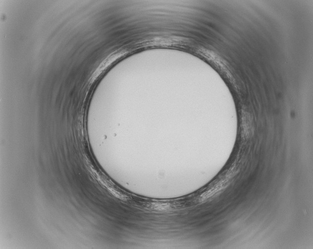 X0000061730794200512302144