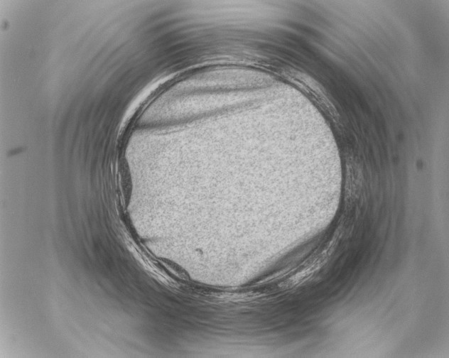 X0000061730796200512302144