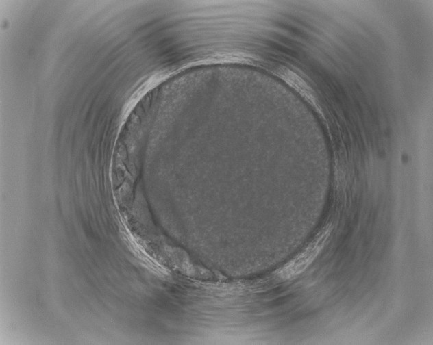 X0000061730797200512302144