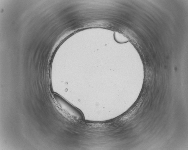 X0000061730800200512302144