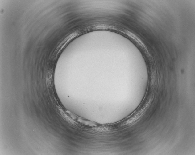 X0000061730801200512302144