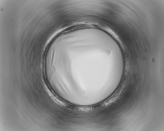 X0000061730803200512302144