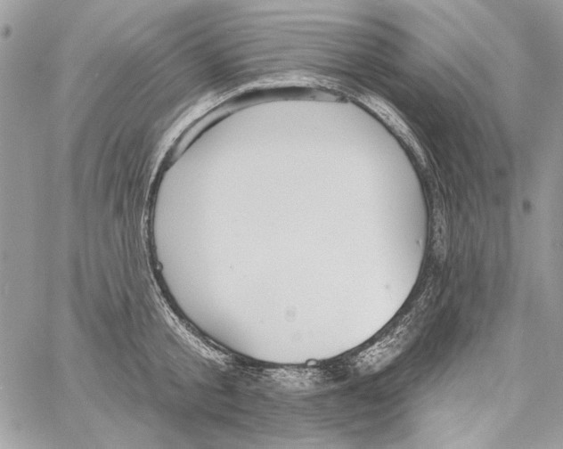 X0000061730805200512302144