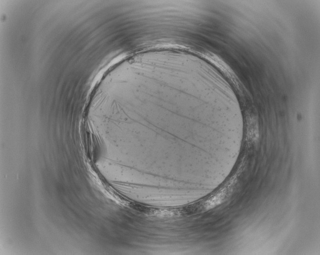 X0000061730806200512302144