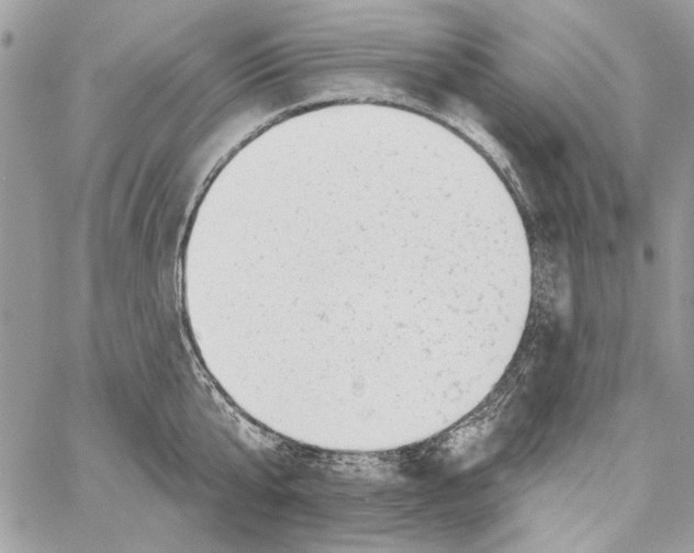 X0000061730807200512302144