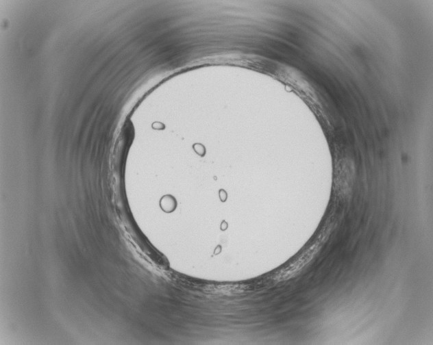 X0000061730808200512302144