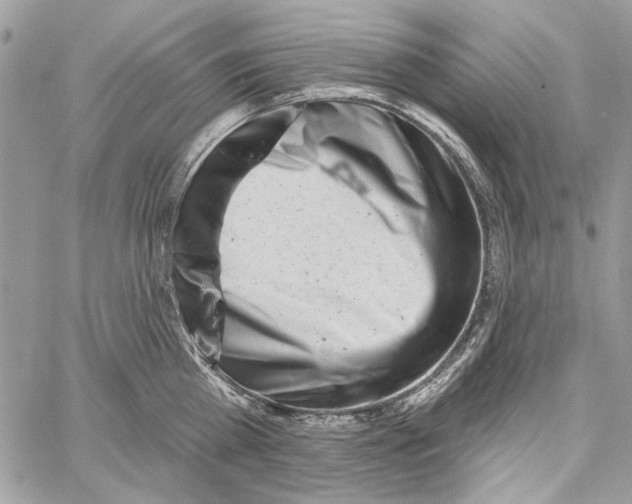 X0000061730809200512302144