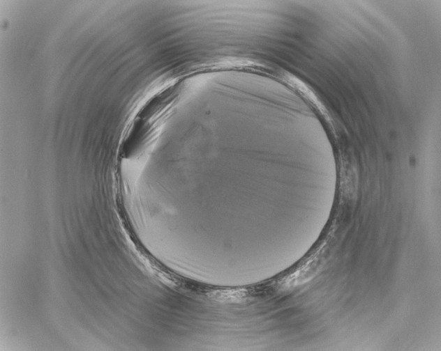 X0000061730810200512302144