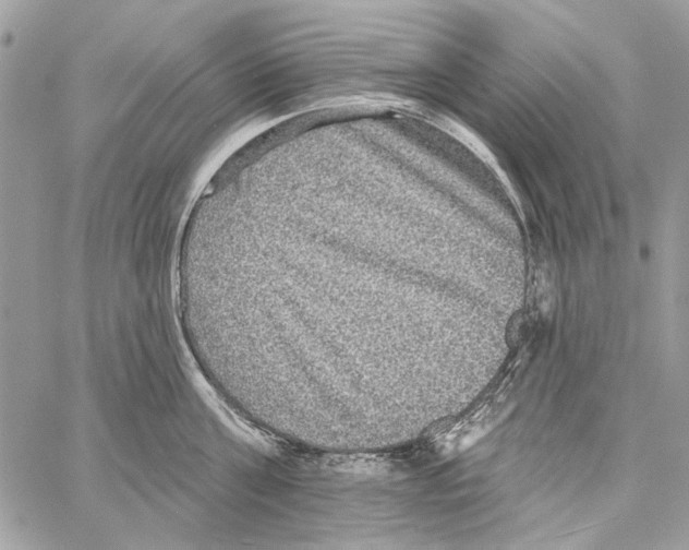 X0000061730811200512302144