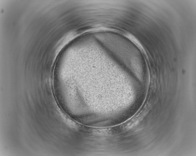 X0000061730813200512302144