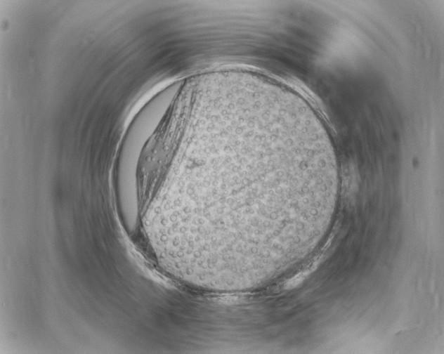 X0000061730814200512302144