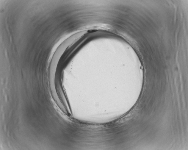 X0000061730816200512302144