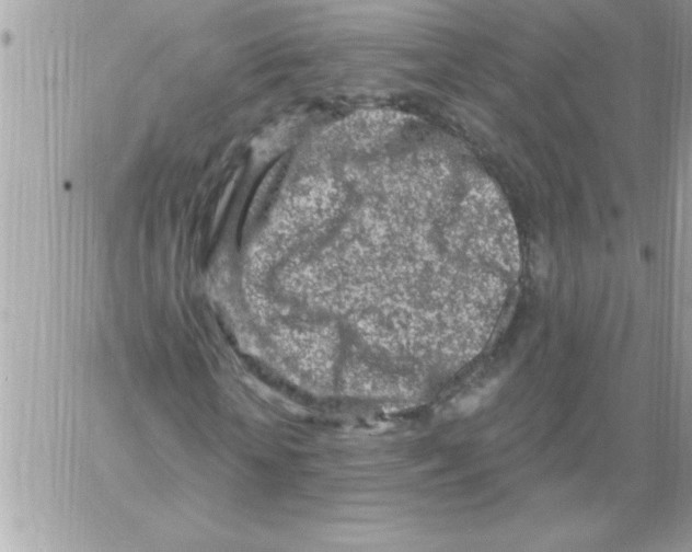 X0000061730818200512302143