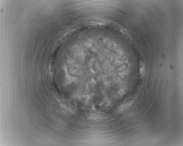 X0000061730819200512302143