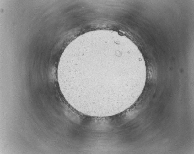 X0000061730820200512302143