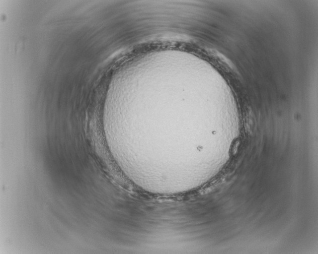 X0000061730821200512302143