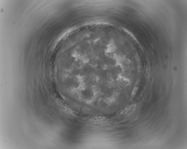 X0000061730823200512302143