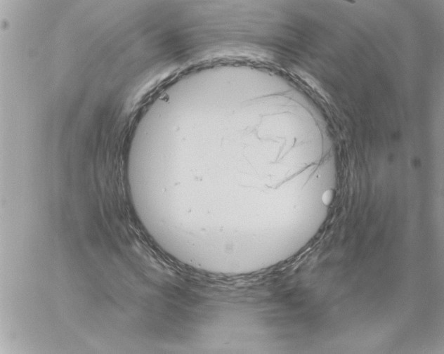 X0000061730824200512302143